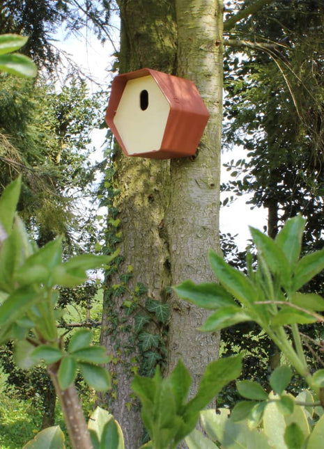 Vogelhuisje Hive 2 ovaal gat 19x23x20 cm bruin