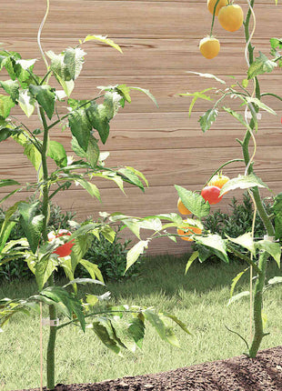 Plantenstok Spiraal 5 St