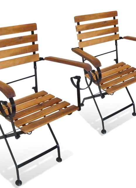 Tuinstoelen inklapbaar 2 st staal en massief acaciahout