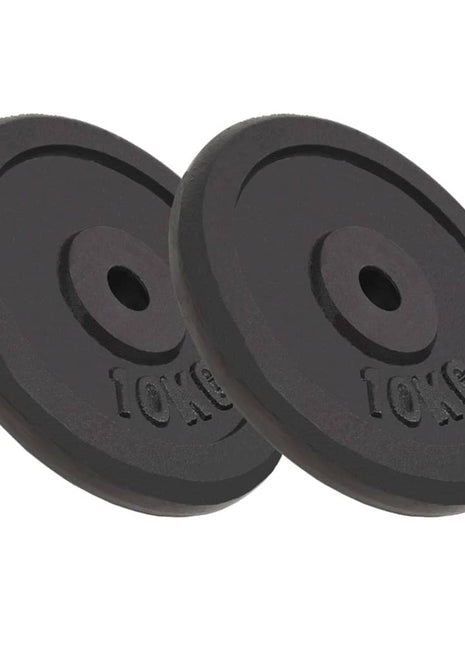 Halterschijven 2 st 2x10 kg gietijzer