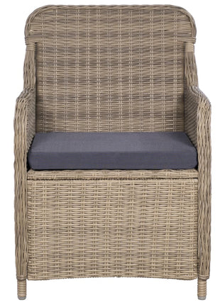 Tuinstoelen 2 st met kussens poly rattan bruin