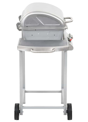 Gasbarbecue en grill met 2 kookzones roestvrij staal zilver