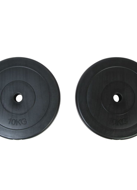 Halterschijven 2 x 10 kg