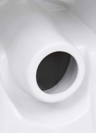 Toilet Met Afvoer Achter Keramiek