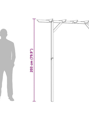 Pergola 205X40X203 Cm Hout