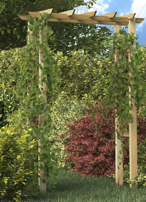 Rozenboog 150X60X204 Cm Geïmpregneerd Hout