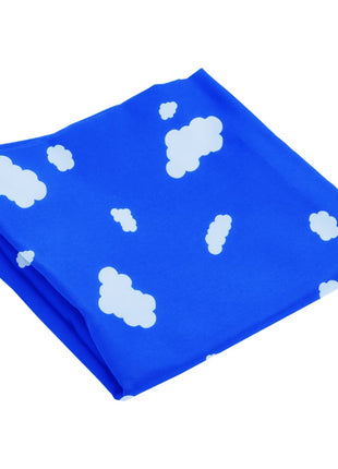 Schommelzitjes 2 st met klimstenen polyetheen blauw
