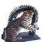 Katten Speelgoed
