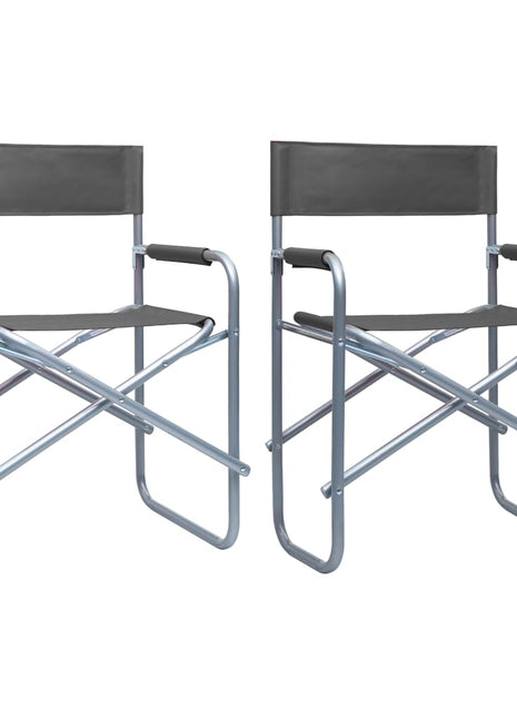 Regisseursstoelen 2 st staal grijs