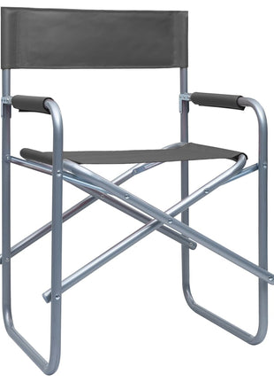 Regisseursstoelen 2 st staal grijs