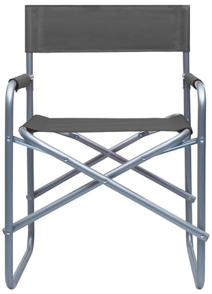 Regisseursstoelen 2 st staal grijs