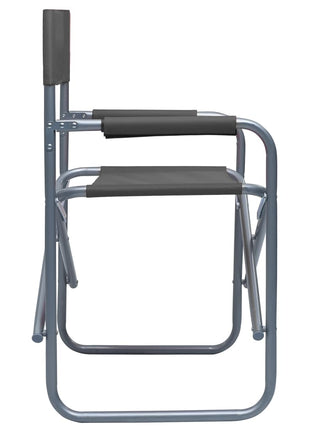 Regisseursstoelen 2 st staal grijs
