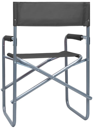 Regisseursstoelen 2 st staal grijs