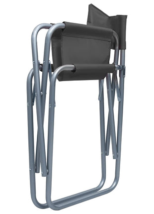 Regisseursstoelen 2 st staal grijs