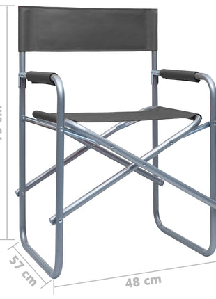 Regisseursstoelen 2 st staal grijs