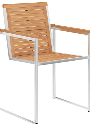 Tuinstoelen 2 st massief teakhout en roestvrij staal