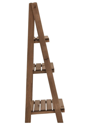 Plantenstandaard 3-Laags Met Bord 40X30X90 Cm Massief Vurenhout