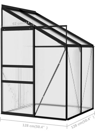 Broeikas 2,59 m³ aluminium antracietkleurig