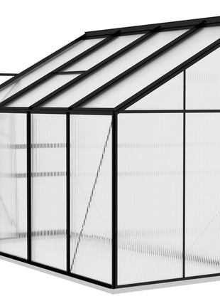 Broeikas 5,24 m³ aluminium antracietkleurig