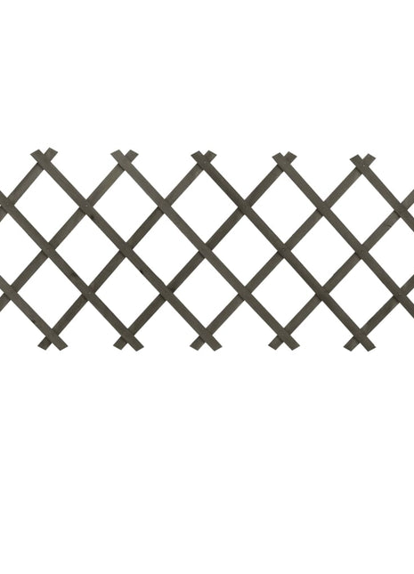 Tuinlatwerk 120x60 cm massief vurenhout grijs