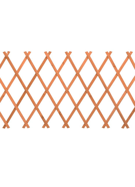 Tuinlatwerk 150x80 cm massief vurenhout oranje