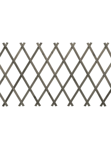 Tuinlatwerk 150x80 cm massief vurenhout grijs
