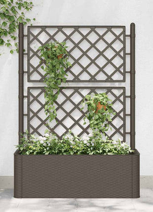 Plantenbak Hoog Met Latwerk En Zelfbewateringssysteem Mokka