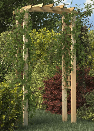 Tuinboog 110X60X210 Cm Geïmpregneerd Massief Grenenhout