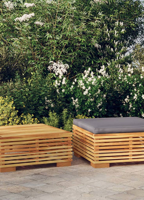 2-Delige Loungeset Massief Teakhout