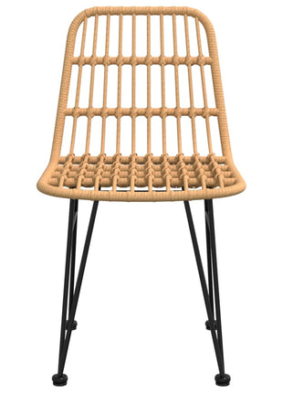 Tuinstoelen 48X62 84 Cm Pe-Rattan