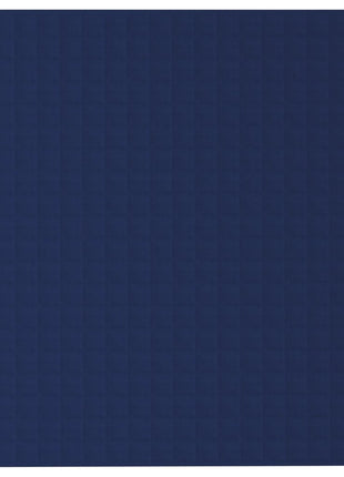 Verzwaringsdeken 200x200 cm 13 kg stof blauw