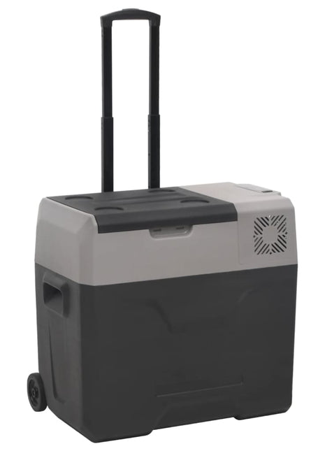 Koelbox met wielen en handvat 40 L polypropeen zwart en grijs