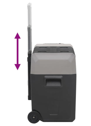 Koelbox Met Wielen En Adapter Polypropeen Zwart En Grijs