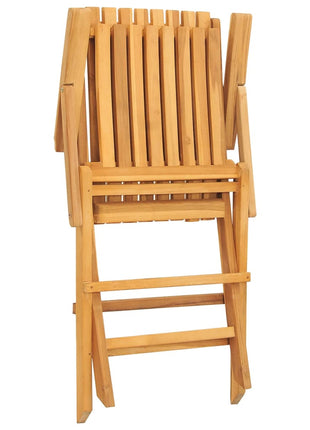 Tuinstoelen inklapbaar 2 st 61x67x90 cm massief teakhout