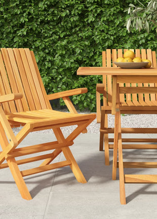 Tuinstoelen inklapbaar 2 st 61x67x90 cm massief teakhout