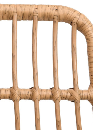 5-Delige Tuinset Poly Rattan