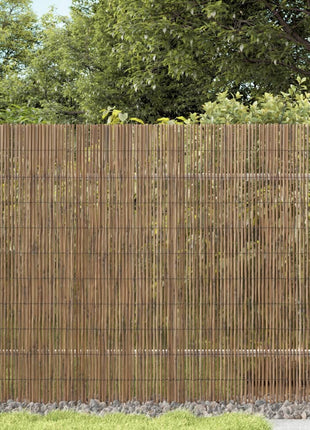 Tuinscherm 400x100 cm riet