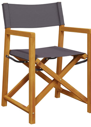 Regisseursstoelen 2 st inklapbaar stof donkergrijs