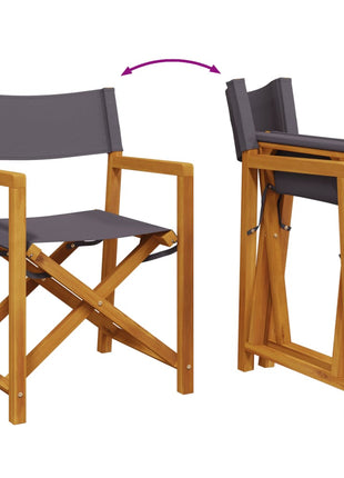 Regisseursstoelen 2 st inklapbaar stof donkergrijs