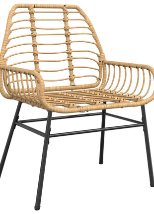 Tuinstoel bruin poly rattan 2 st