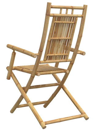 Tuinstoelen 4 st inklapbaar 53x66x99 bamboe