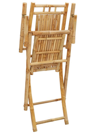 Tuinstoelen 4 st inklapbaar 53x66x99 bamboe