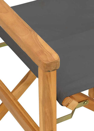 Regisseursstoelen inklapbaar 2 st massief teakhout grijs