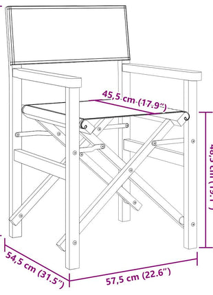 Regisseursstoelen inklapbaar 2 st massief teakhout grijs