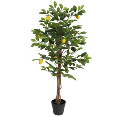 Collection image for: Bomen