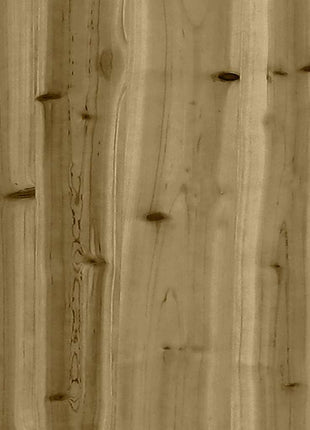 Tuinstoelen 2 st 60x52,5x72 cm geïmpregneerd hout