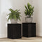 Plantenstandaarden